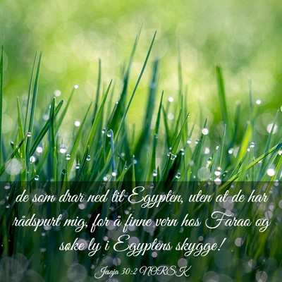 Picture 03 - Jesaja 30:2 NORSK - de som drar ned til Egypten, uten at de har - Bible Verse Picture