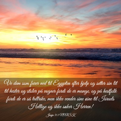 Picture 03 - Jesaja 31:1 NORSK - Ve dem som farer ned til Egypten efter hjelp og - Bible Verse Picture
