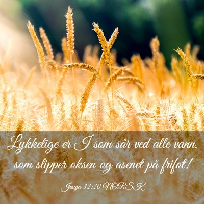 Picture 03 - Jesaja 32:20 NORSK - Lykkelige er I som sår ved alle vann, som - Bible Verse Picture