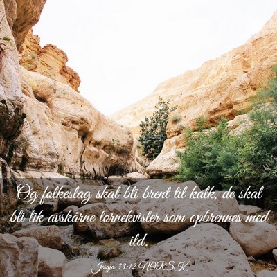 Picture 03 - Jesaja 33:12 NORSK - Og folkeslag skal bli brent til kalk, de skal bli - Bible Verse Picture