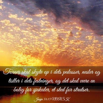 Picture 03 - Jesaja 34:13 NORSK - Torner skal skyte op i dets palasser, nesler og - Bible Verse Picture