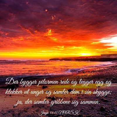 Picture 03 - Jesaja 34:15 NORSK - Der bygger pilormen rede og legger egg og klekker - Bible Verse Picture