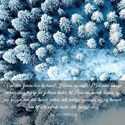 Picture 03 - Jesaja 37:24 NORSK - Ved dine tjenere har du hånet Herren og sagt: - Bible Verse Picture