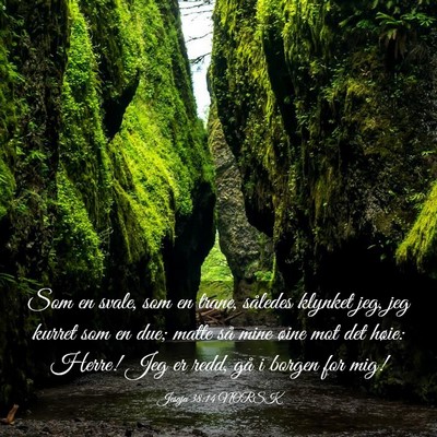 Picture 03 - Jesaja 38:14 NORSK - Som en svale, som en trane, således klynket jeg, - Bible Verse Picture