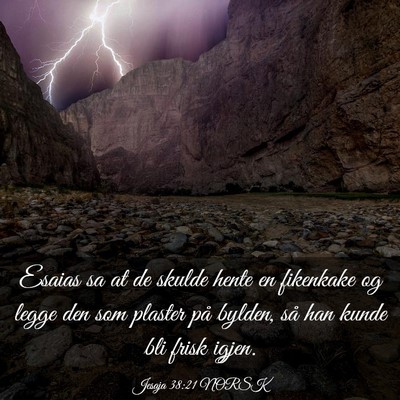 Picture 03 - Jesaja 38:21 NORSK - Esaias sa at de skulde hente en fikenkake og - Bible Verse Picture