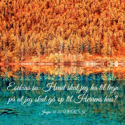 Picture 03 - Jesaja 38:22 NORSK - Esekias sa: Hvad skal jeg ha til tegn på at jeg - Bible Verse Picture