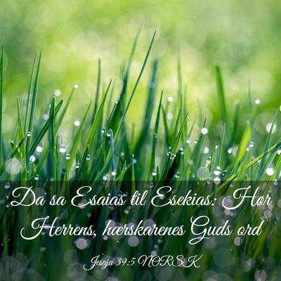 Picture 03 - Jesaja 39:5 NORSK - Da sa Esaias til Esekias: Hør Herrens, - Bible Verse Picture