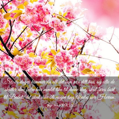 Picture 03 - Jesaja 39:6 NORSK - Se, de dager kommer da alt det som er i ditt hus, - Bible Verse Picture