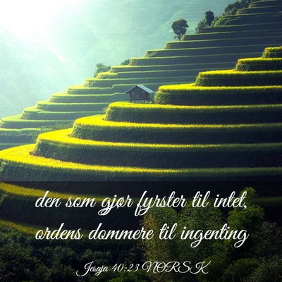 Picture 03 - Jesaja 40:23 NORSK - den som gjør fyrster til intet, ordens dommere - Bible Verse Picture