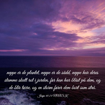 Picture 03 - Jesaja 40:24 NORSK - neppe er de plantet, neppe er de sådd, neppe har - Bible Verse Picture