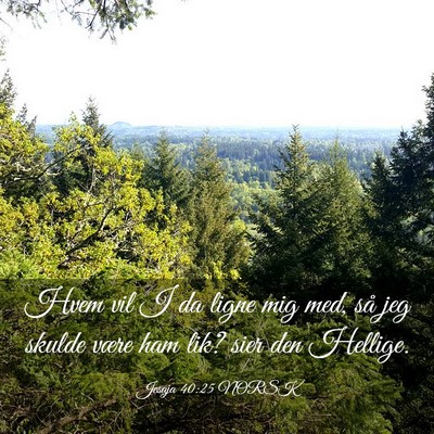Picture 03 - Jesaja 40:25 NORSK - Hvem vil I da ligne mig med, så jeg skulde være - Bible Verse Picture
