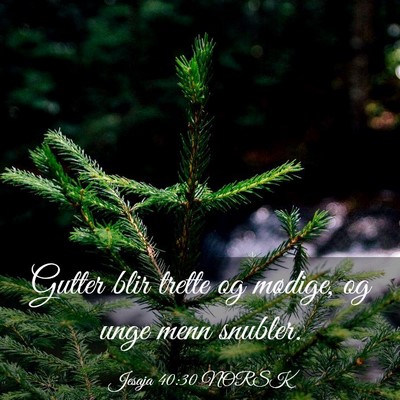 Picture 03 - Jesaja 40:30 NORSK - Gutter blir trette og mødige, og unge menn - Bible Verse Picture