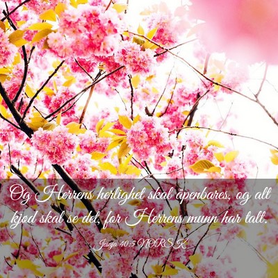 Picture 03 - Jesaja 40:5 NORSK - Og Herrens herlighet skal åpenbares, og alt - Bible Verse Picture