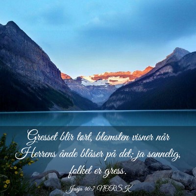 Picture 03 - Jesaja 40:7 NORSK - Gresset blir tørt, blomsten visner når Herrens - Bible Verse Picture