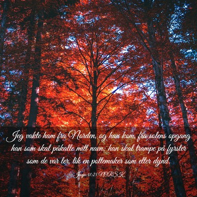 Picture 03 - Jesaja 41:25 NORSK - Jeg vakte ham fra Norden, og han kom, fra solens - Bible Verse Picture