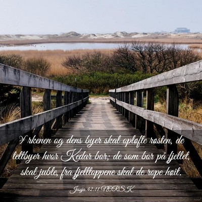 Picture 03 - Jesaja 42:11 NORSK - ¥rkenen og dens byer skal opløfte røsten, de - Bible Verse Picture