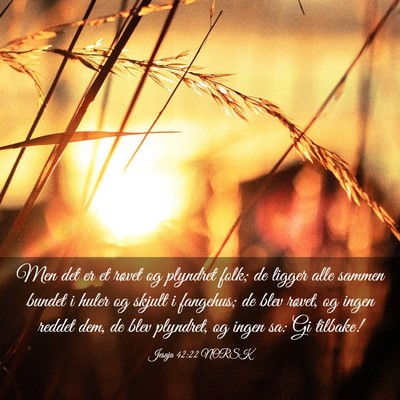 Picture 03 - Jesaja 42:22 NORSK - Men det er et røvet og plyndret folk; de ligger - Bible Verse Picture