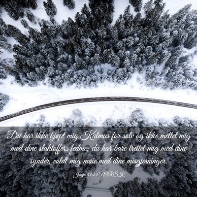 Picture 03 - Jesaja 43:24 NORSK - Du har ikke kjøpt mig Kalmus for sølv og ikke - Bible Verse Picture