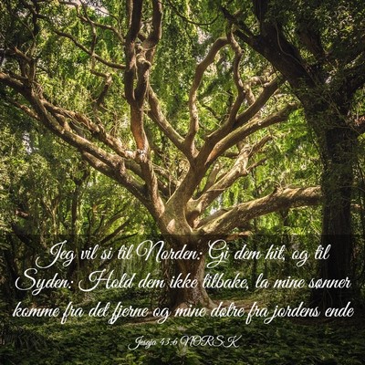 Picture 03 - Jesaja 43:6 NORSK - Jeg vil si til Norden: Gi dem hit, og til Syden: - Bible Verse Picture