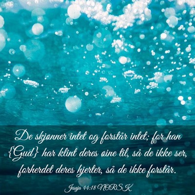 Picture 03 - Jesaja 44:18 NORSK - De skjønner intet og forstår intet; for han - Bible Verse Picture