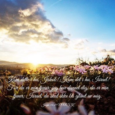 Picture 03 - Jesaja 44:21 NORSK - Kom dette i hu, Jakob! Kom det i hu, Israel! For - Bible Verse Picture