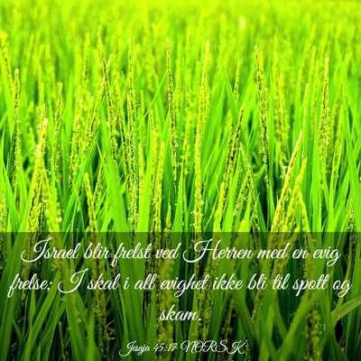 Picture 03 - Jesaja 45:17 NORSK - Israel blir frelst ved Herren med en evig frelse; - Bible Verse Picture