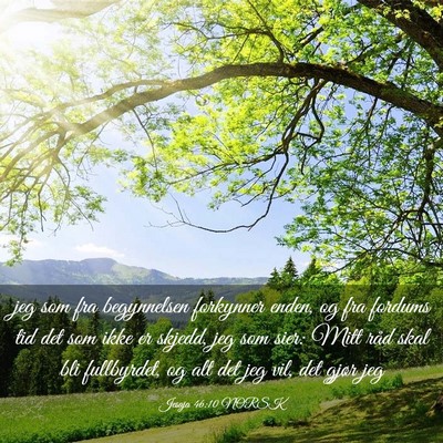 Picture 03 - Jesaja 46:10 NORSK - jeg som fra begynnelsen forkynner enden, og fra - Bible Verse Picture