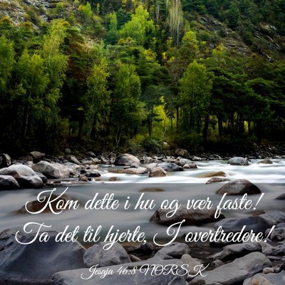 Picture 03 - Jesaja 46:8 NORSK - Kom dette i hu og vær faste! Ta det til hjerte, - Bible Verse Picture