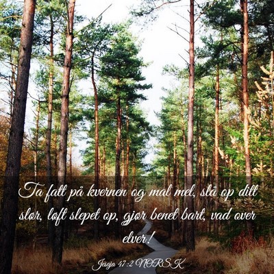Picture 03 - Jesaja 47:2 NORSK - Ta fatt på kvernen og mal mel, slå op ditt - Bible Verse Picture