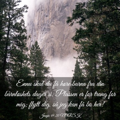 Picture 03 - Jesaja 49:20 NORSK - Ennu skal du få høre barna fra din barnløshets - Bible Verse Picture