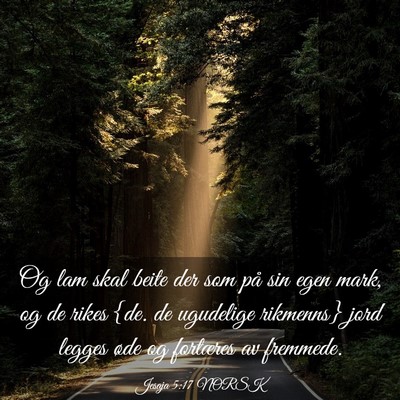 Picture 03 - Jesaja 5:17 NORSK - Og lam skal beite der som på sin egen mark, og - Bible Verse Picture