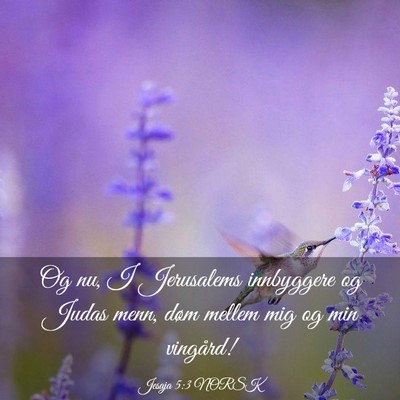 Picture 03 - Jesaja 5:3 NORSK - Og nu, I Jerusalems innbyggere og Judas menn, - Bible Verse Picture