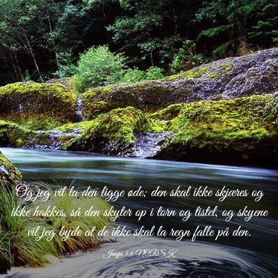 Picture 03 - Jesaja 5:6 NORSK - Og jeg vil la den ligge øde; den skal ikke - Bible Verse Picture