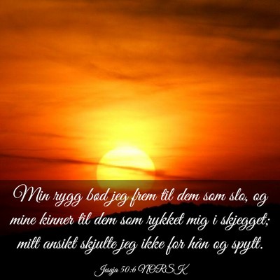 Picture 03 - Jesaja 50:6 NORSK - Min rygg bød jeg frem til dem som slo, og mine - Bible Verse Picture