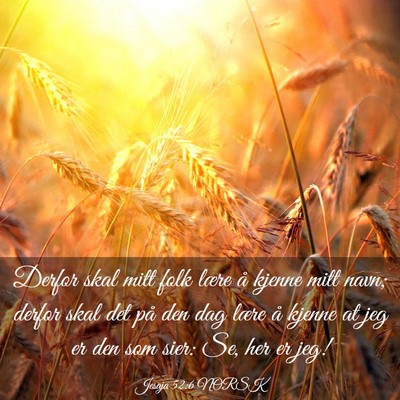 Picture 03 - Jesaja 52:6 NORSK - Derfor skal mitt folk lære å kjenne mitt navn; - Bible Verse Picture