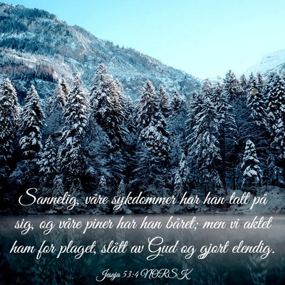 Picture 03 - Jesaja 53:4 NORSK - Sannelig, våre sykdommer har han tatt på sig, - Bible Verse Picture