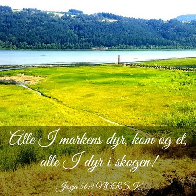 Picture 03 - Jesaja 56:9 NORSK - Alle I markens dyr, kom og et, alle I dyr i - Bible Verse Picture