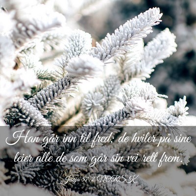 Picture 03 - Jesaja 57:2 NORSK - Han går inn til fred; de hviler på sine leier - Bible Verse Picture