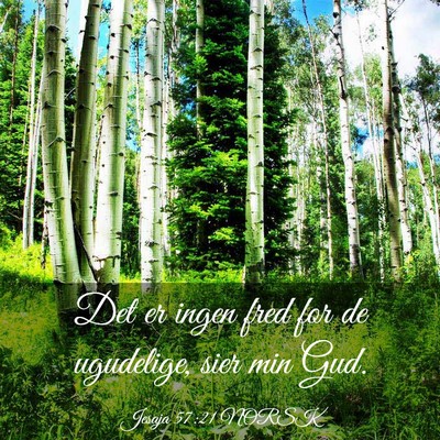 Picture 03 - Jesaja 57:21 NORSK - Det er ingen fred for de ugudelige, sier min - Bible Verse Picture