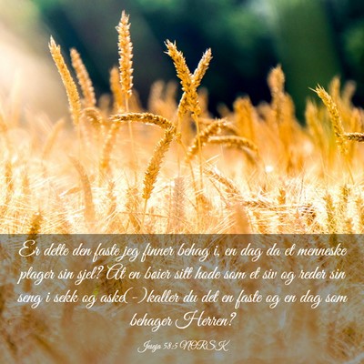 Picture 03 - Jesaja 58:5 NORSK - Er dette den faste jeg finner behag i, en dag da - Bible Verse Picture