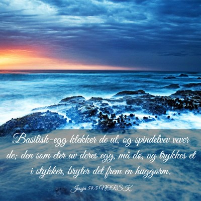 Picture 03 - Jesaja 59:5 NORSK - Basilisk-egg klekker de ut, og spindelvev vever - Bible Verse Picture