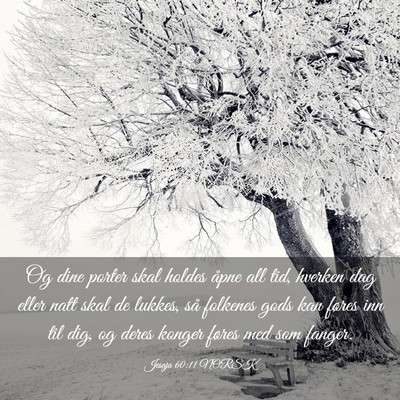 Picture 03 - Jesaja 60:11 NORSK - Og dine porter skal holdes åpne all tid, hverken - Bible Verse Picture
