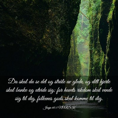 Picture 03 - Jesaja 60:5 NORSK - Da skal du se det og stråle av glede, og ditt - Bible Verse Picture