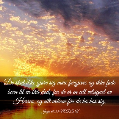 Picture 03 - Jesaja 65:23 NORSK - De skal ikke gjøre sig møie forgjeves og ikke - Bible Verse Picture
