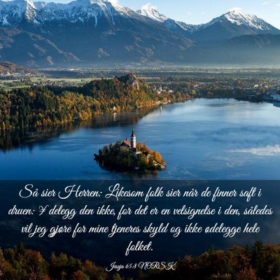 Picture 03 - Jesaja 65:8 NORSK - Så sier Herren: Likesom folk sier når de finner - Bible Verse Picture