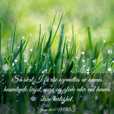 Picture 03 - Jesaja 66:11 NORSK - Så skal I få die og mettes av hennes husvalende - Bible Verse Picture