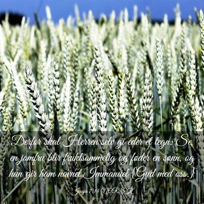Picture 03 - Jesaja 7:14 NORSK - Derfor skal Herren selv gi eder et tegn: Se, en - Bible Verse Picture