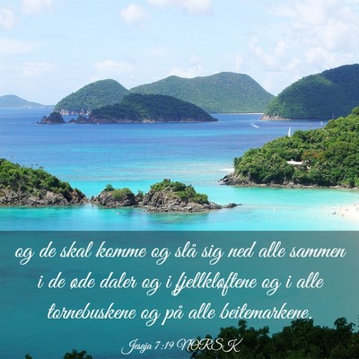 Picture 03 - Jesaja 7:19 NORSK - og de skal komme og slå sig ned alle sammen i de - Bible Verse Picture
