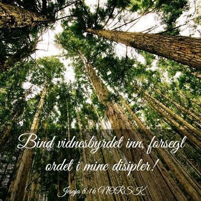 Picture 03 - Jesaja 8:16 NORSK - Bind vidnesbyrdet inn, forsegl ordet i mine - Bible Verse Picture