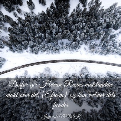 Picture 03 - Jesaja 9:11 NORSK - Derfor gir Herren Resins motstandere makt over - Bible Verse Picture